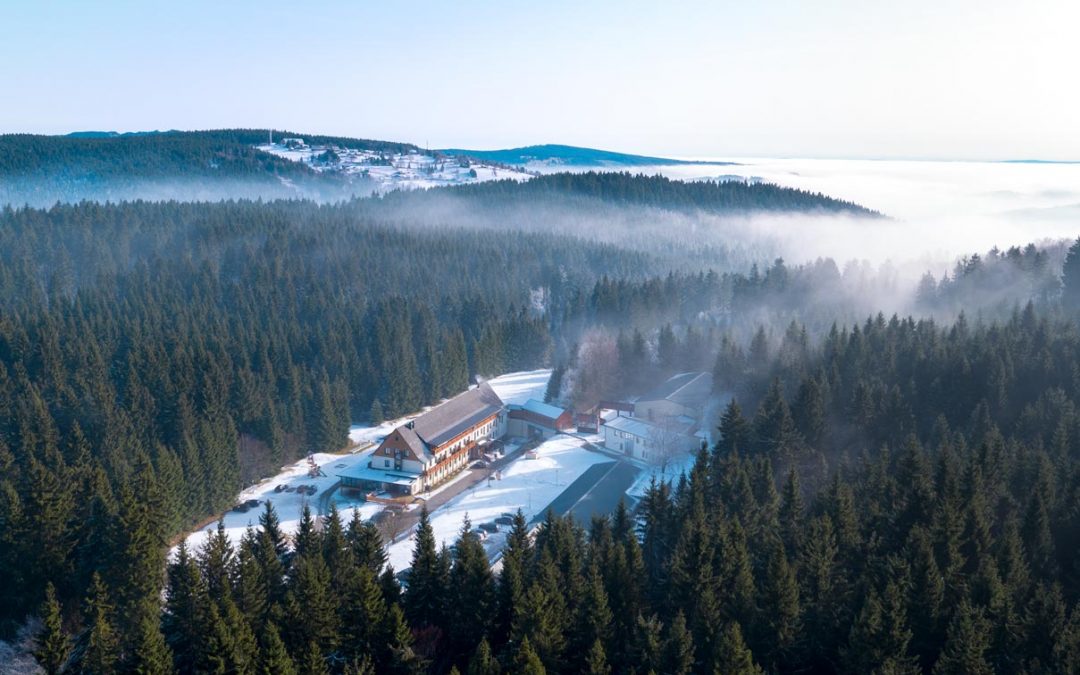 Weihnachten im Waldhotel