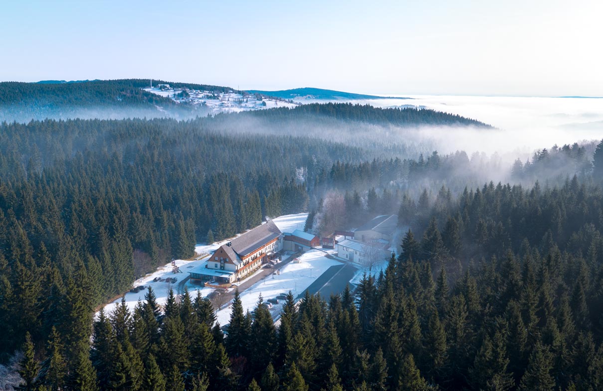 Weihnachten im Waldhotel Waldhotel Vogtland