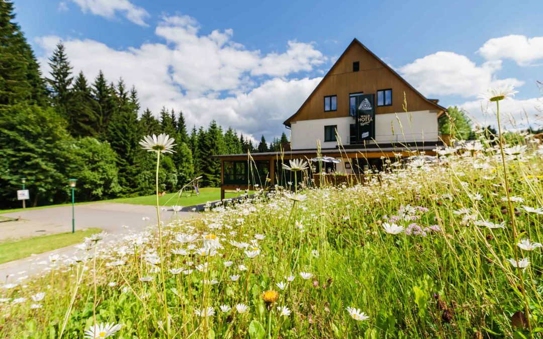 „Kennenlern“-Tage